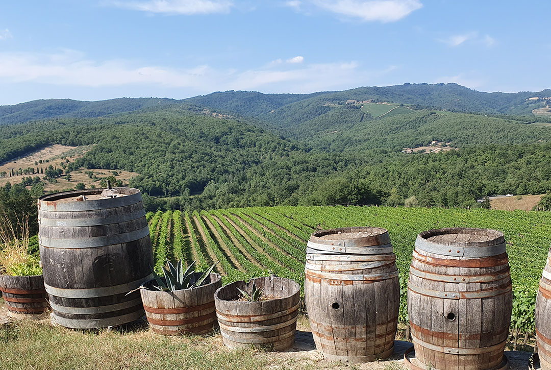 Italiaanse wijnvelden
