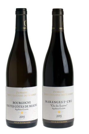 Santenay en Maranges 1er Cru